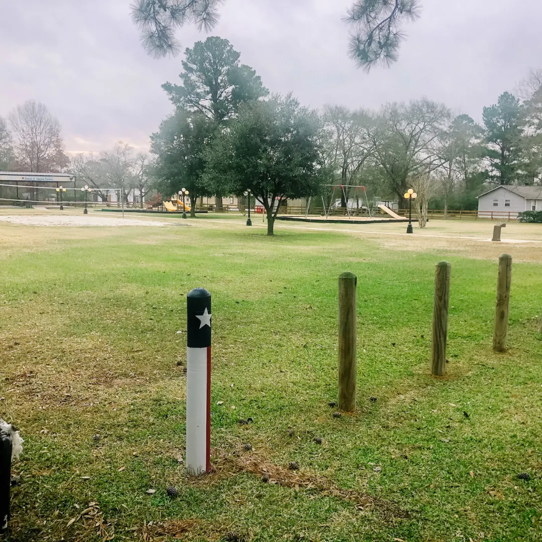 Montgomery community scene 4